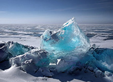 WTT多哈冠军赛 林诗栋2-4不敌张禹珍无缘决赛